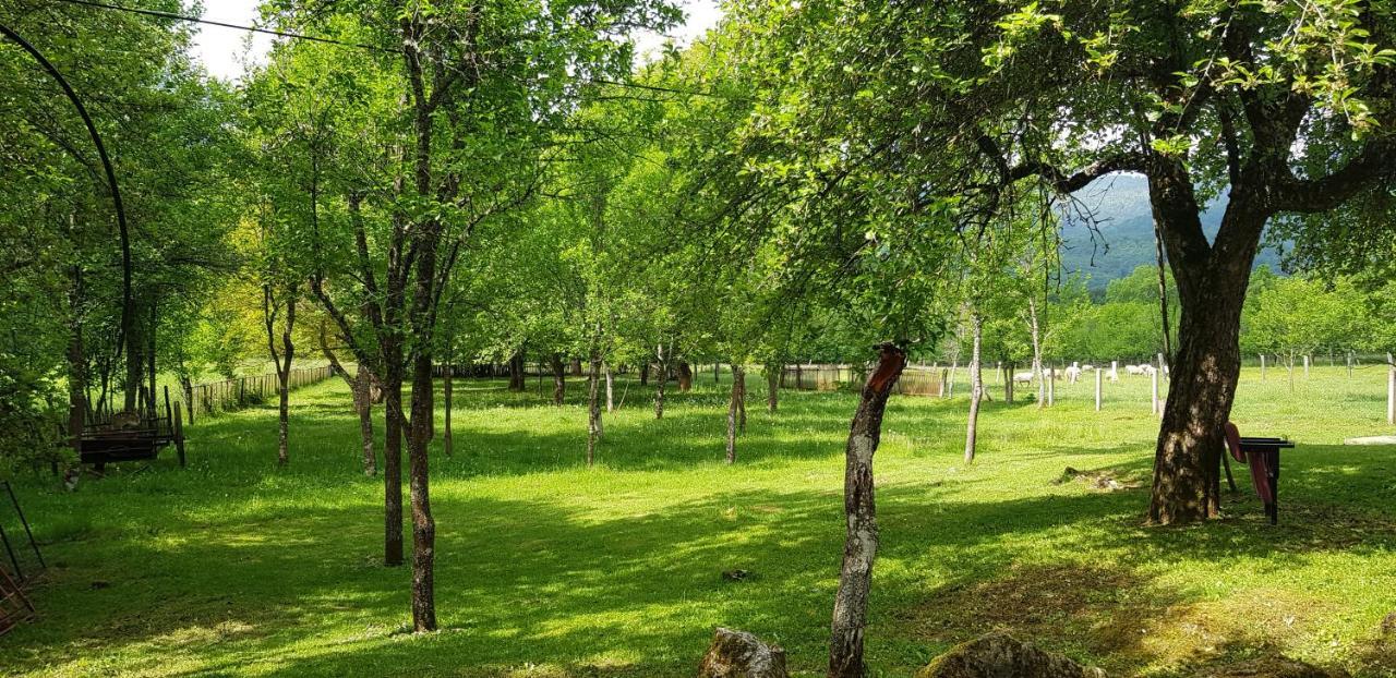 Mirni Kutak Villa Donje Pazariste Buitenkant foto