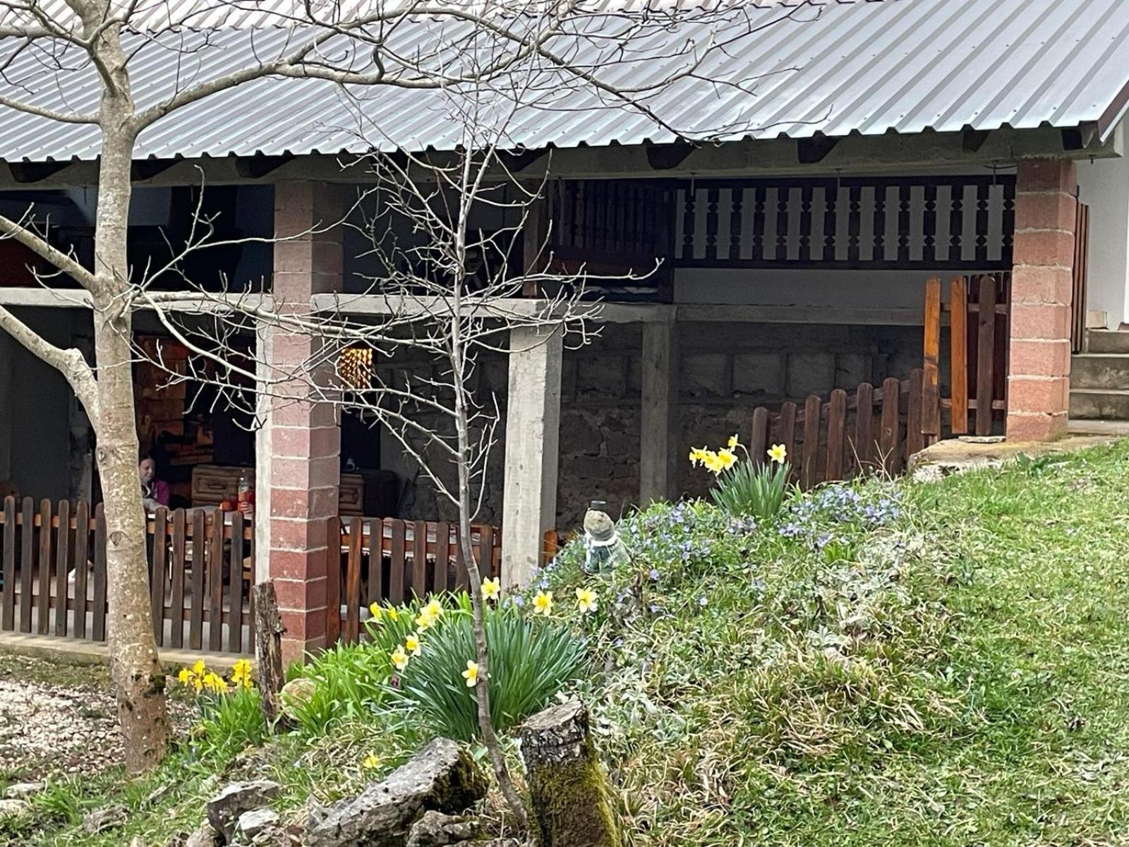 Mirni Kutak Villa Donje Pazariste Buitenkant foto